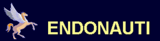 Endonauti
